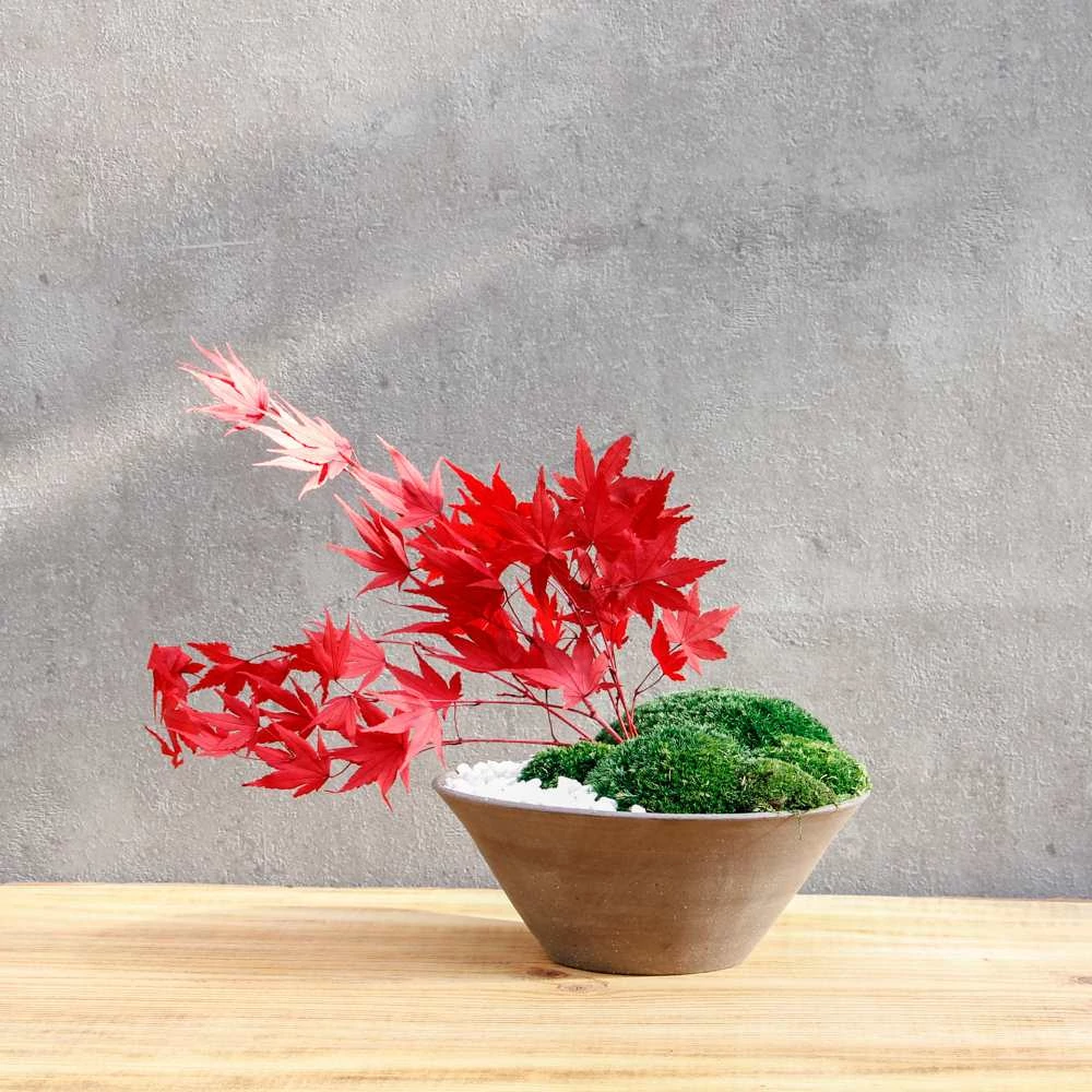 Momiji - japán juhar dekoráció, gondozásmentes asztali dísz, egyedi kerámiában