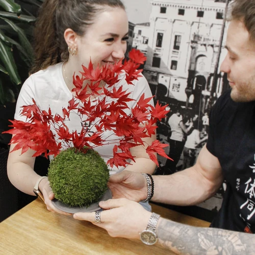 Gondozásmentes kokedama és a japán hagyományok