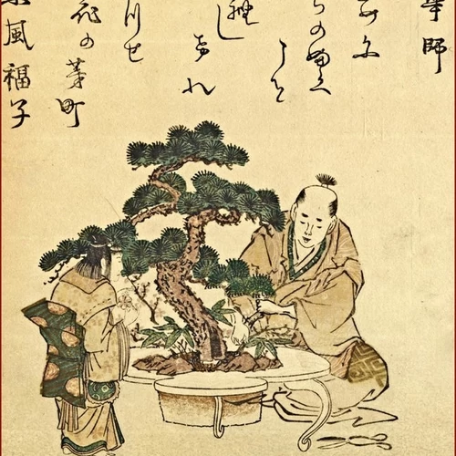 BONSAI- egy mini táj, ami nagy történetet mesél el